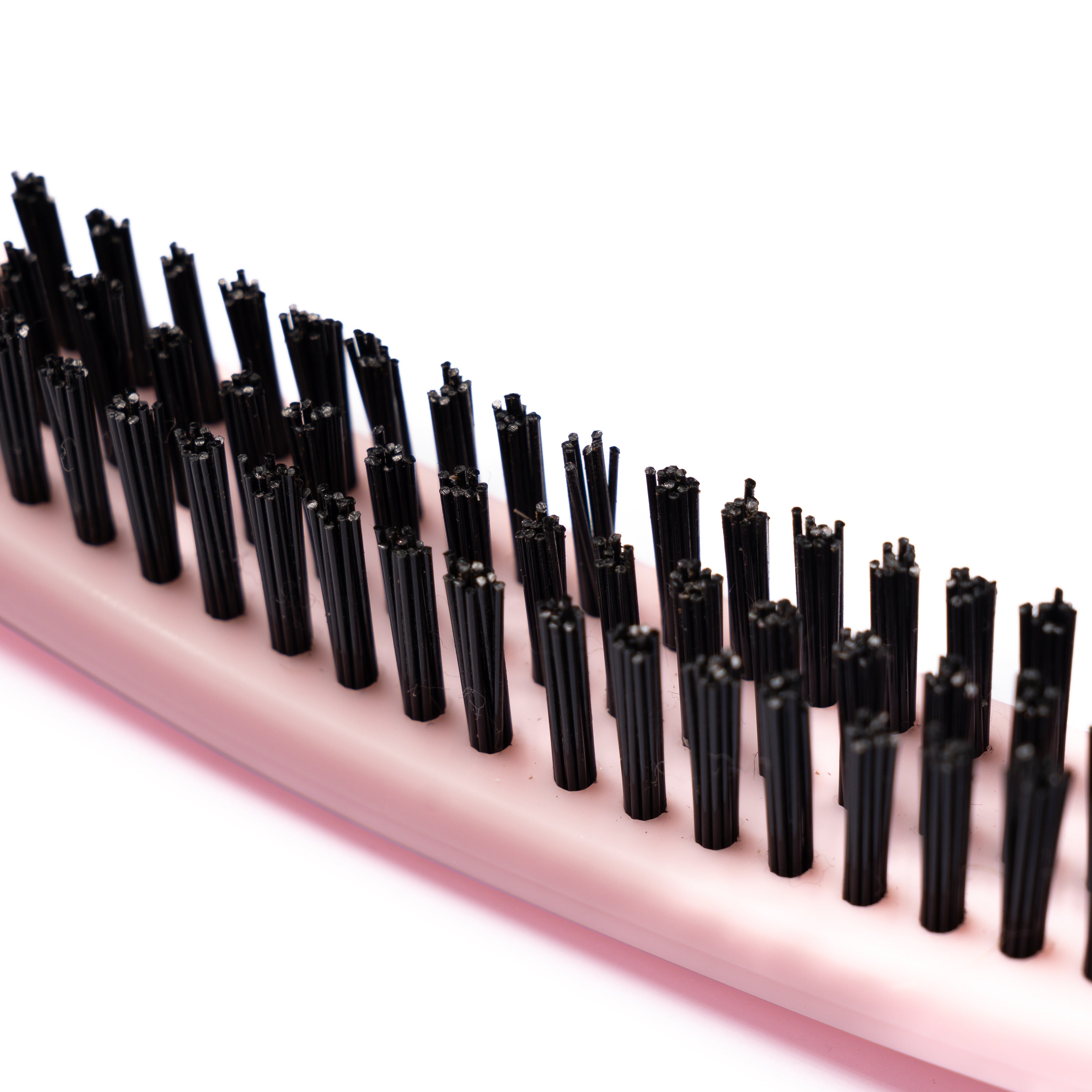 THE SNATCHED BRUSH