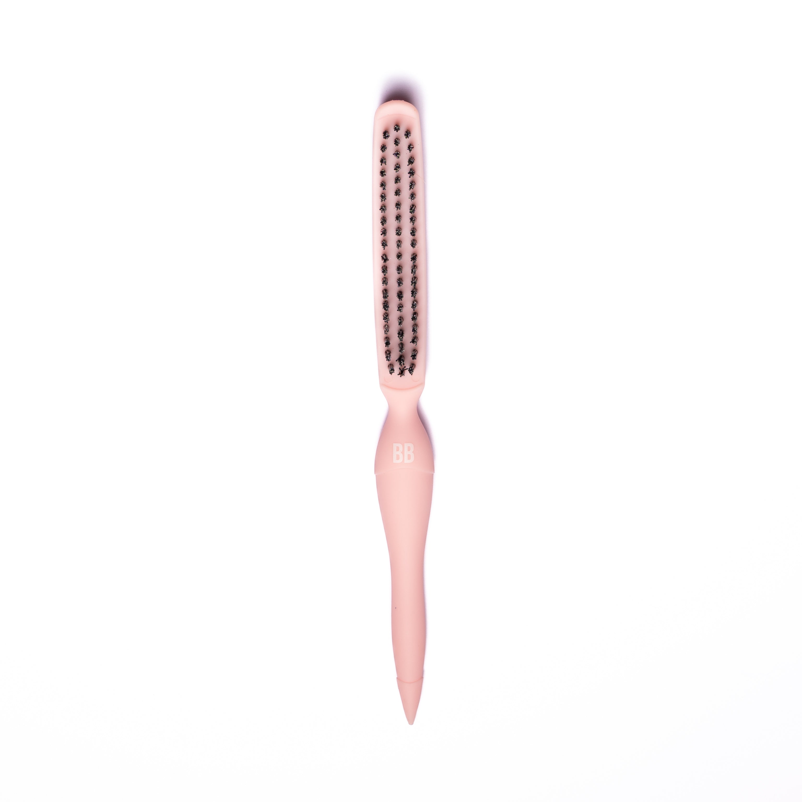 THE SNATCHED BRUSH